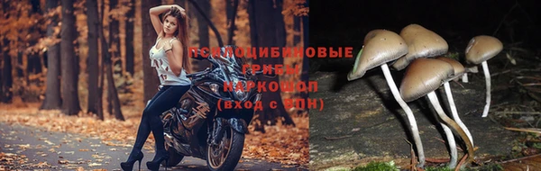 мет Наволоки